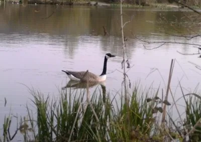 fishing-3